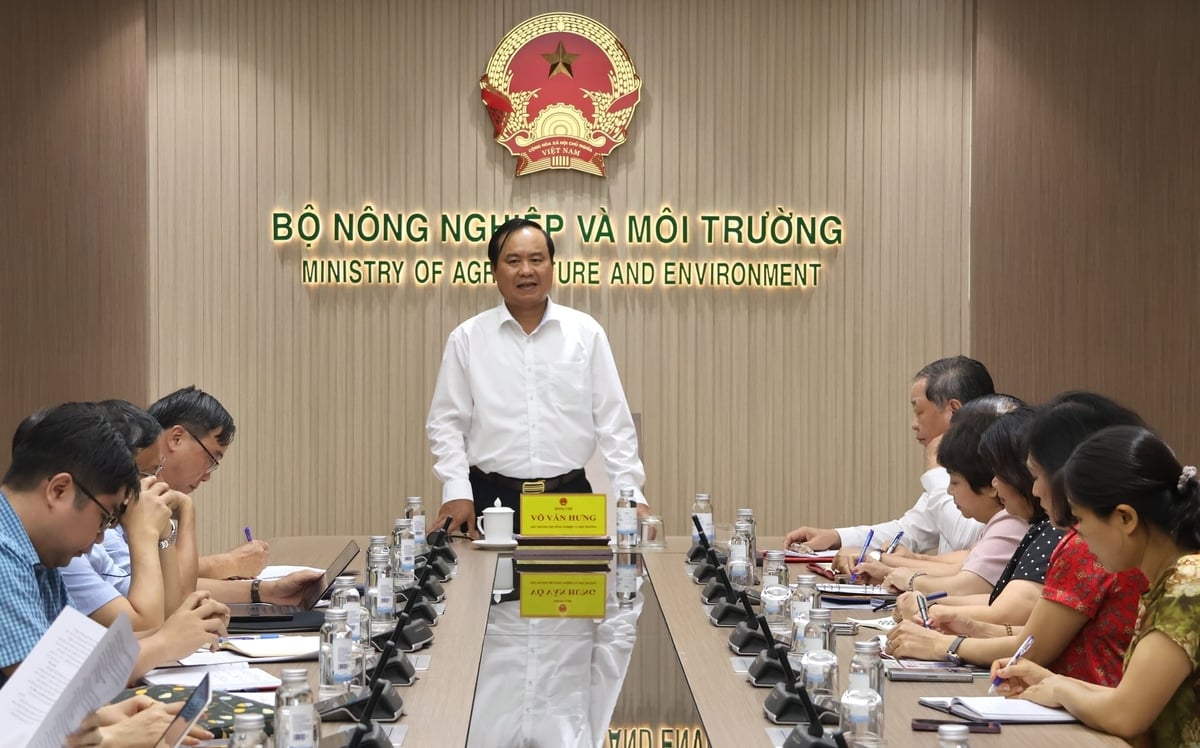 Thứ trưởng Bộ Nông nghiệp và Môi trường Võ Văn Hưng chủ trì buổi làm việc. Ảnh: Trung Nguyên.