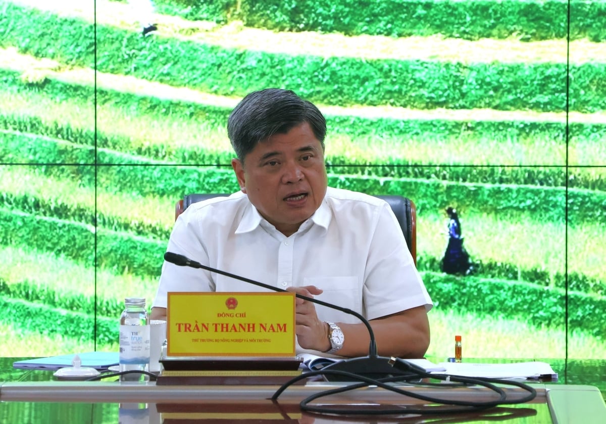 Thứ trưởng Bộ Nông nghiệp và Môi trường Trần Thanh Nam đã chủ trì cuộc họp. Ảnh: Trung Nguyên.