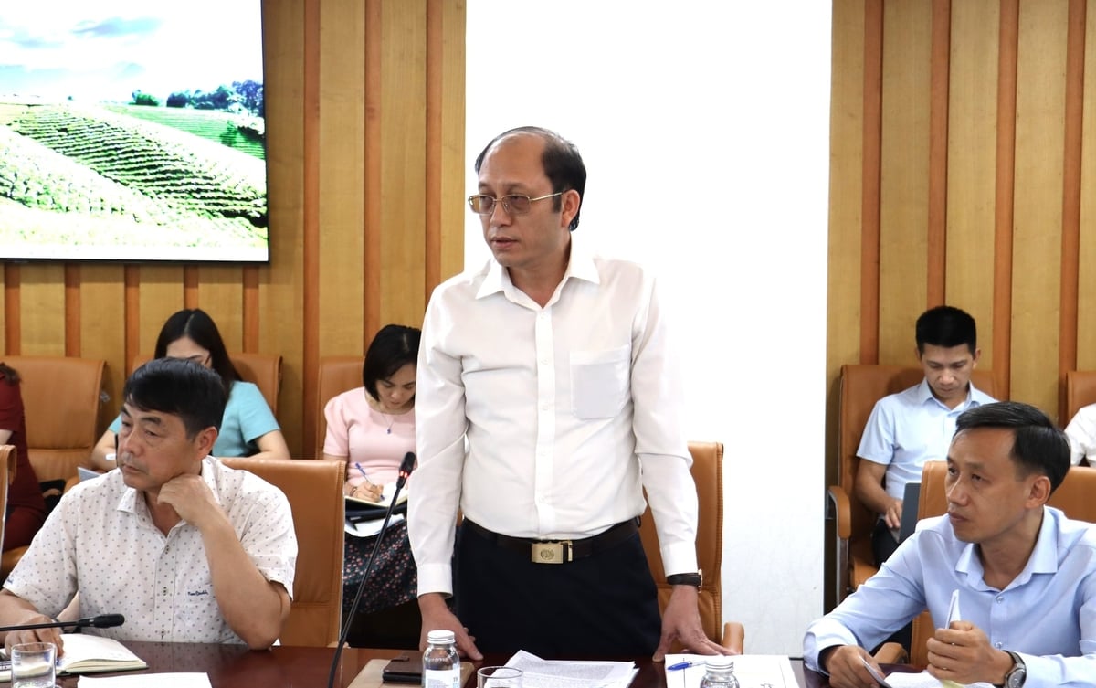 Đại diện Bộ Nội vụ phát biểu tại buổi làm việc. Ảnh: Trường Giang. Đại diện Bộ Nội vụ phát biểu tại buổi làm việc. Ảnh: Trường Giang.