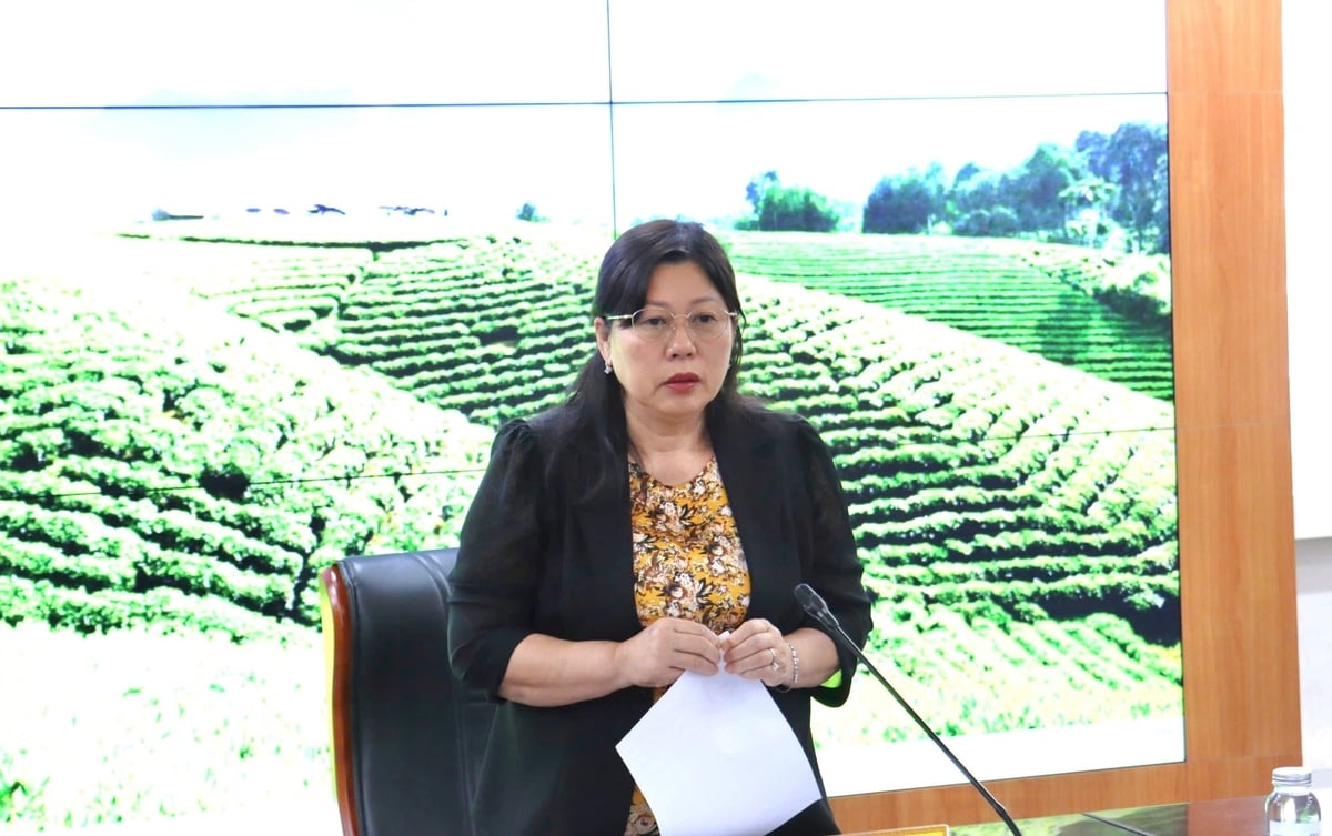 Thứ trưởng Nguyễn Thị Phương Hoa phát biểu tại buổi làm việc. Ảnh: Trường Giang. Thứ trưởng Nguyễn Thị Phương Hoa phát biểu tại buổi làm việc. Ảnh: Trường Giang.