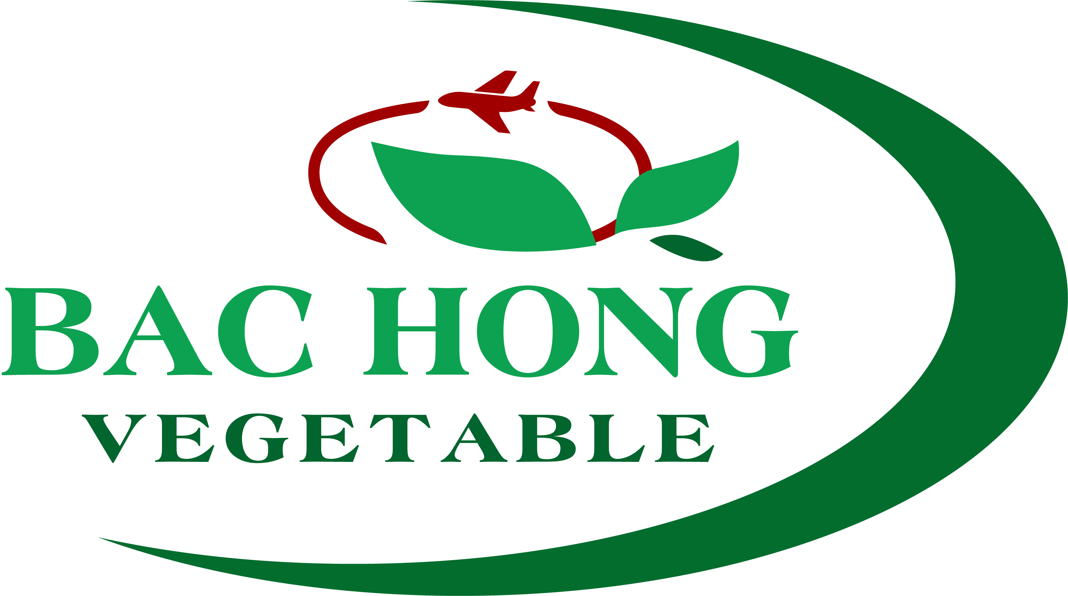 HỢP TÁC XÃ SẢN XUẤT VÀ TIÊU THỤ RAU AN TOÀN BẮC HỒNG